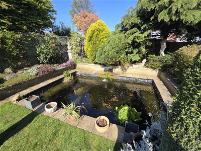 Picture 20